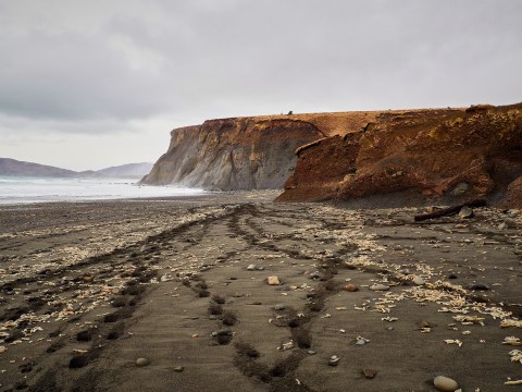 Explore This One-Of-A-Kind Beach In Alaska For The Chance To Find Some Ancient Fossils