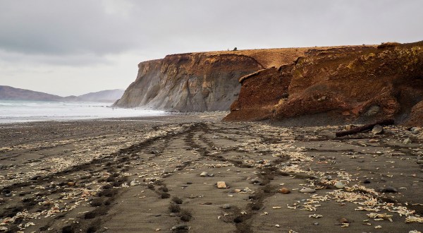 Explore This One-Of-A-Kind Beach In Alaska For The Chance To Find Some Ancient Fossils