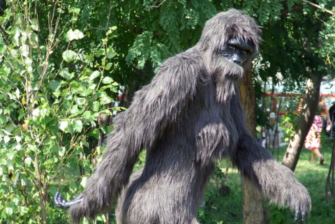 There's A Bigfoot Festival Happening In North Carolina And You'll Absolutely Want To Go
