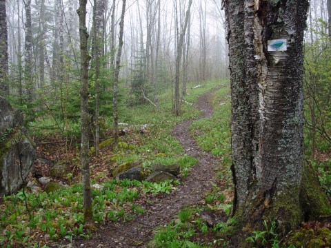 The One Incredible Trail That Spans The Entire State of Minnesota