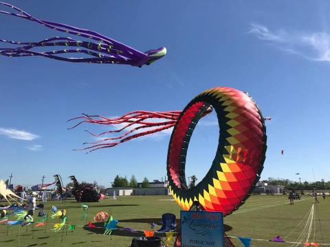 This Incredible Kite Festival In Louisiana Is A Must-See