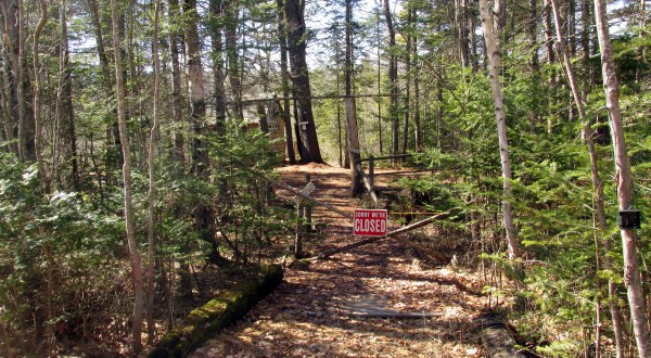 6 Sad Truths About Spring In New Hampshire