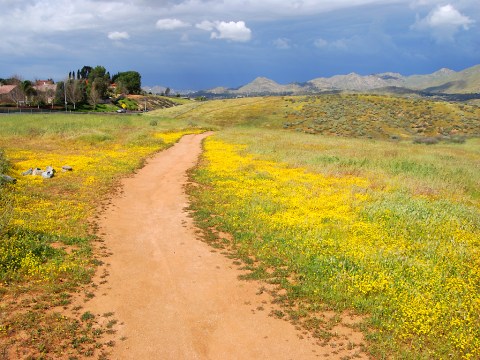 The Peaceful Nature Preserve In Southern California That Is Positively Delightful