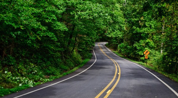 Arkansas’ Tunnel Of Trees Is Positively Magical And You Need To Visit