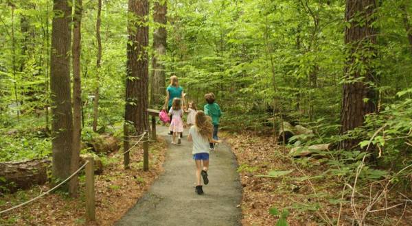 5 Totally Kid-Friendly Hikes In Louisiana That Are 1 Mile And Under