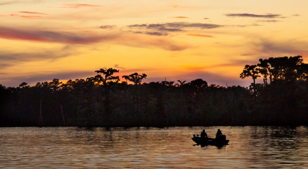 You’ll Love A Trip To This Waterfront State Park Just Outside Of New Orleans