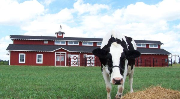 Your Kids Will Absolutely Love Visiting This Charming Farm Themed Park In Missouri