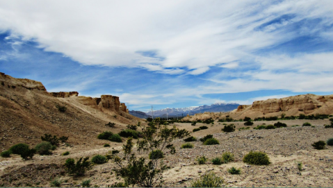 Visit This Amazing Fossil Park In Nevada That's Full Of Prehistoric Treasures