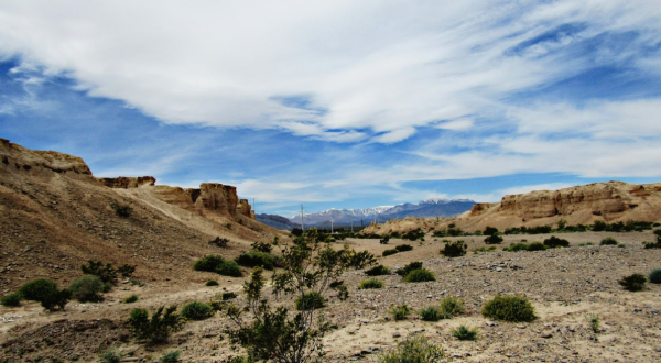 Visit This Amazing Fossil Park In Nevada That’s Full Of Prehistoric Treasures