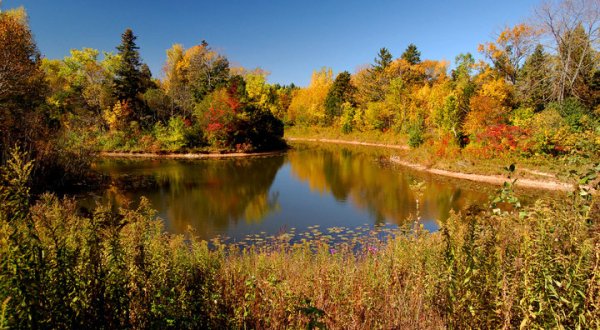 This Enchanting Spot In Milwaukee Is A Nature Lover’s Dream