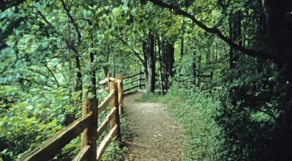 14 Totally Kid-Friendly Hikes In Wisconsin That Are 1 Mile And Under