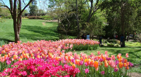 The One Magical Place In Nashville To See Spring Flowers Bloom
