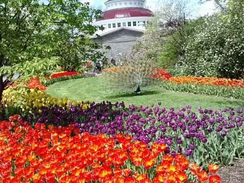The 13 Places You Absolutely Must Visit In Cincinnati This Spring