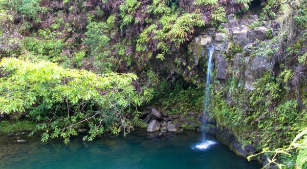 This Underrated Trail In Hawaii Leads To A Hidden Turquoise Swimming Hole