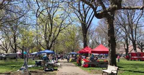 You Won't Want To Miss These 7 Spring Festivals In Connecticut This Year
