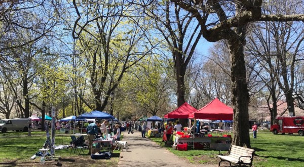 You Won’t Want To Miss These 7 Spring Festivals In Connecticut This Year