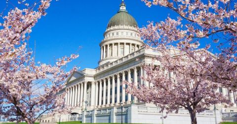 The One Magical Place In Utah To See Cherry Blossoms This Spring