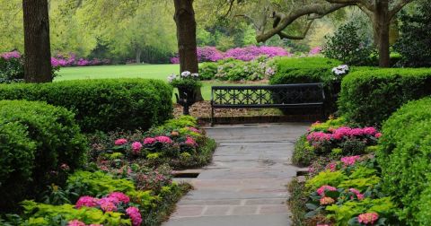8 Destinations In Alabama That Are Picture Perfect During Springtime