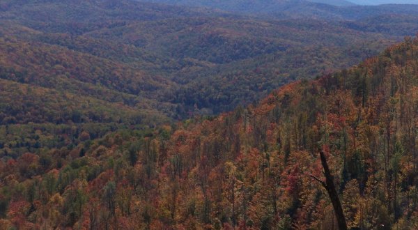 The One Incredible Trail That Spans The Entire State of West Virginia