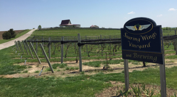 This One-Of-A-Kind Nebraska Winery Is Located In The Most Unforgettable Setting