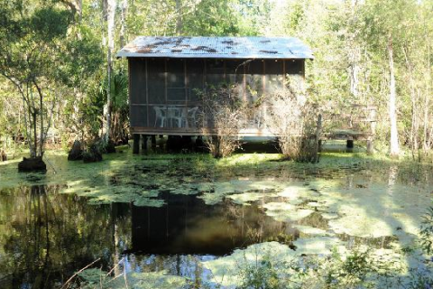 There's An Incredible B&B Hiding In The Middle Of This Swamp Near New Orleans And You Need To Visit