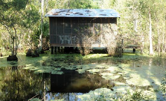 There’s An Incredible B&B Hiding In The Middle Of This Swamp Near New Orleans And You Need To Visit