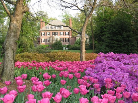 The 10 Very Best Places To Go In Maryland This Spring