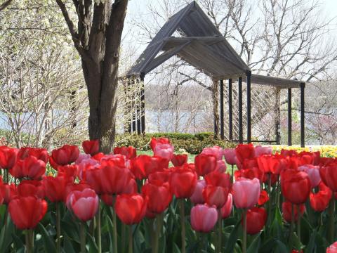 Most People Don't Realize These 7 Secret Gardens Around Kansas Exist