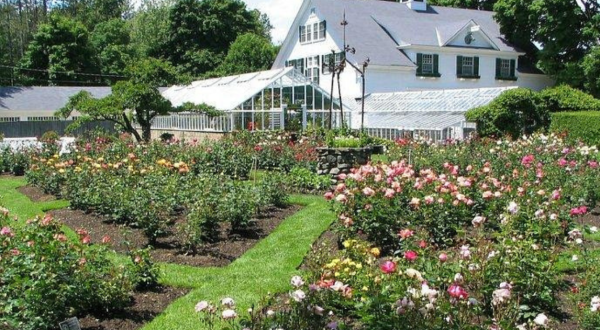 Most People Don’t Realize These 6 Secret Gardens Around New Hampshire Exist