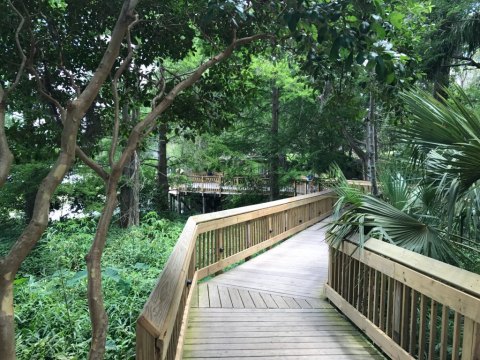 Most People Don't Realize This Enchanting Natural Garden In Florida Even Exists