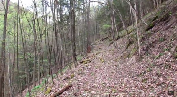 This Creepy Spot Deep In The Woods Of West Virginia Is Like Something Out Of A Horror Movie