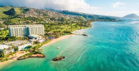Watch Dolphins Play From Your Window At This Beautiful Seaside Hotel In Hawaii