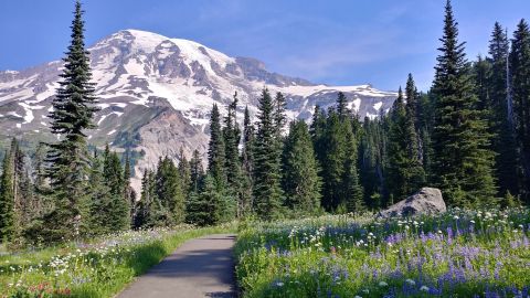 9 Totally Kid-Friendly Hikes In Washington That Are 1 Mile And Under
