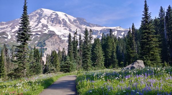 9 Totally Kid-Friendly Hikes In Washington That Are 1 Mile And Under