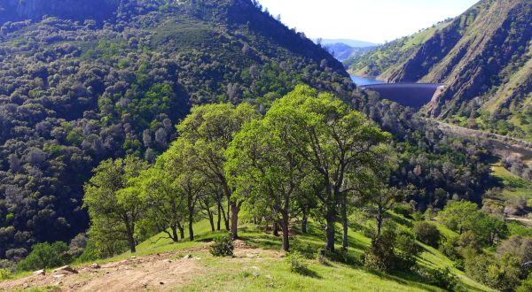 7 Totally Kid-Friendly Hikes In Northern California That Are 1 Mile And Under