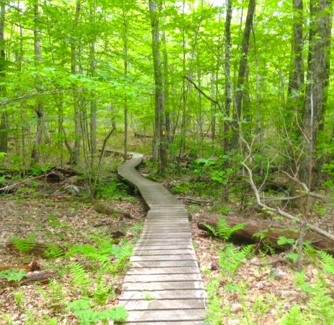 The One Incredible Trail That Spans The Entire State of Massachusetts
