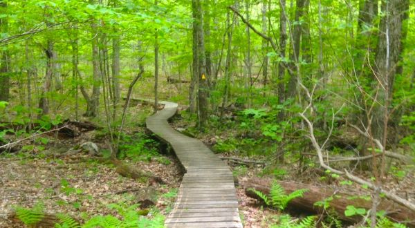The One Incredible Trail That Spans The Entire State of Massachusetts