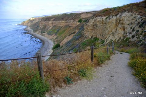 There's Nothing More Magnificent Than Taking A Hike Along This Picturesque Coastal Trail in Southern California