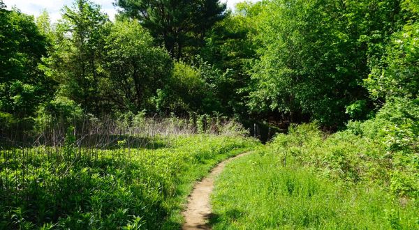 This Quaint Little Trail Is The Shortest And Sweetest Hike In Massachusetts
