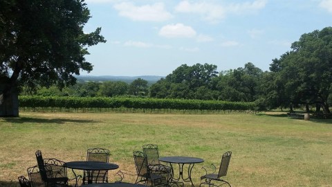 This One-Of-A-Kind Winery Near Austin Is Located In The Most Unforgettable Setting
