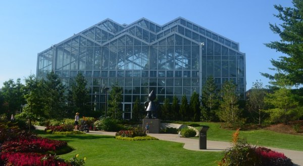 You’ll Want To Plan A Day Trip To Michigan’s Magical Butterfly House