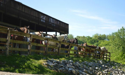 The Quirky Motel In Indiana You Never Knew You Needed To Stay At