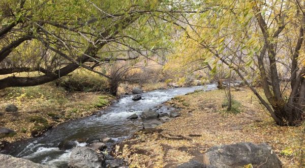 5 Totally Kid-Friendly Hikes Around Denver That Are 1 Mile And Under