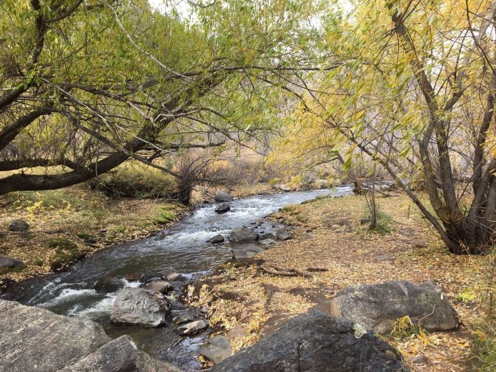 Tips For Hiking With Your Kids Around Denver • Partners in Pediatrics