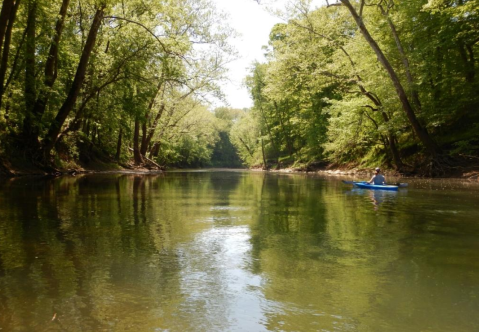 Enjoy An Adventure At Cave Country Canoes, A Kayak Park Hiding In Indiana