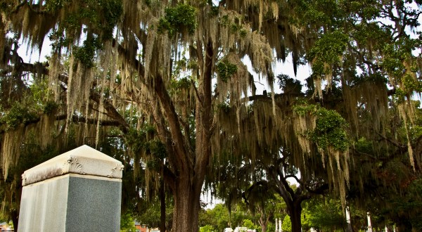 One Of The South’s Most Beautiful Cemeteries Is Right Here In Alabama… And You’ll Want To Visit