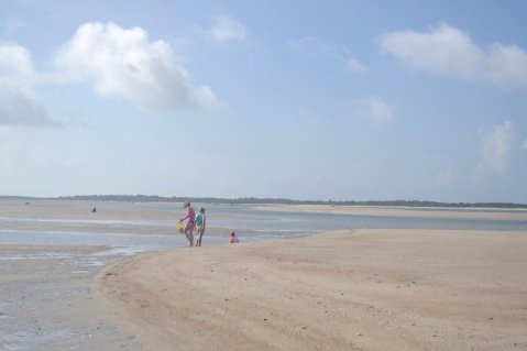 The Amazing North Carolina Sand Dollar Beach You Can Only Get To By Boat