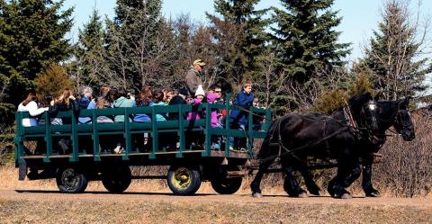 You Can Make Your Own Maple Syrup At This Unique Festival In North Dakota