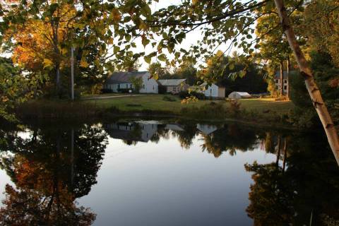 There’s A Little-Known Retreat In The Middle Of A New Hampshire Forest And It Will Enchant You
