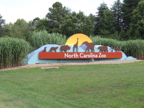 As The World's Largest Zoo, It's Time To Plan A Visit To The North Carolina Zoo